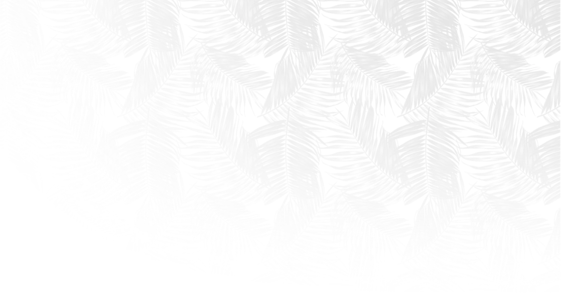 Palm leaves